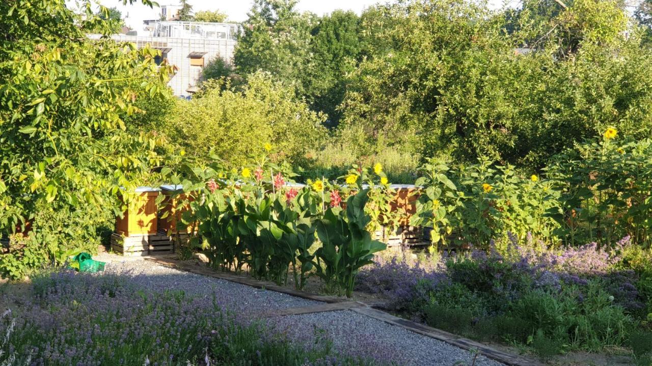 Agroturystyka U Joli Pacanow Eksteriør bilde